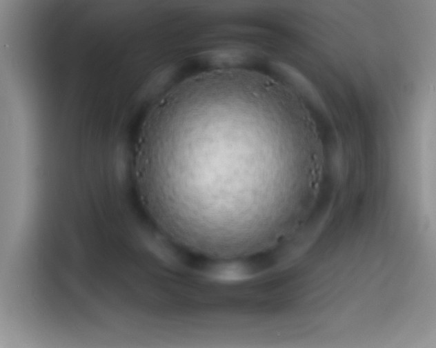 X0000113870169200910011119