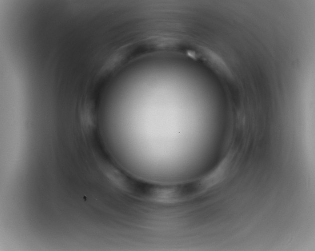 X0000113870170200910011119