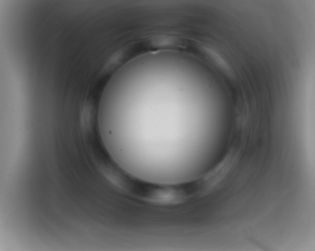 X0000113870171200910011119