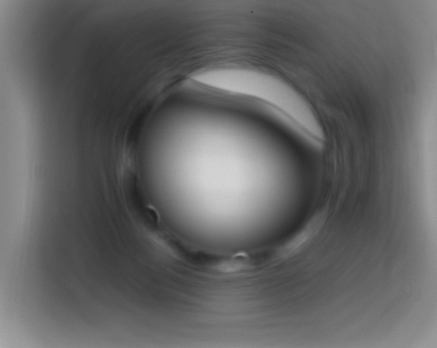 X0000113870172200910011119