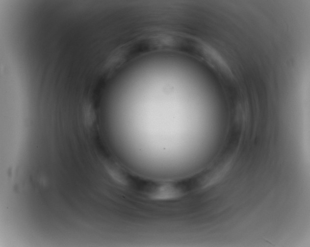 X0000113870173200910011119