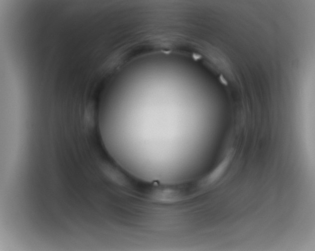 X0000113870174200910011119