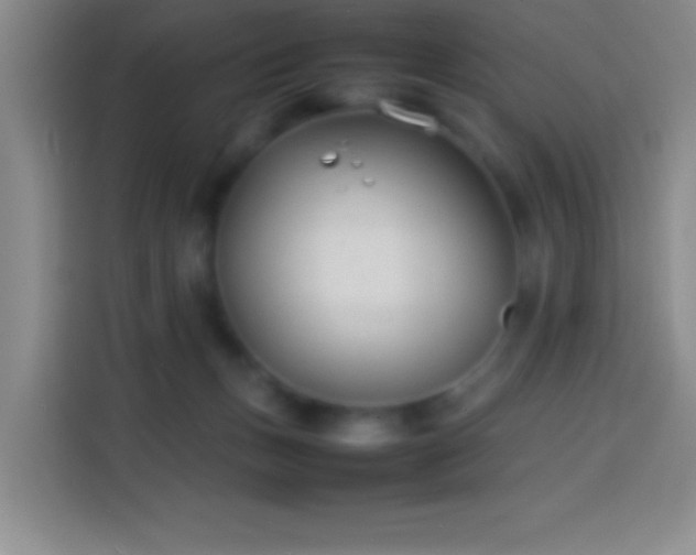 X0000113870175200910011119