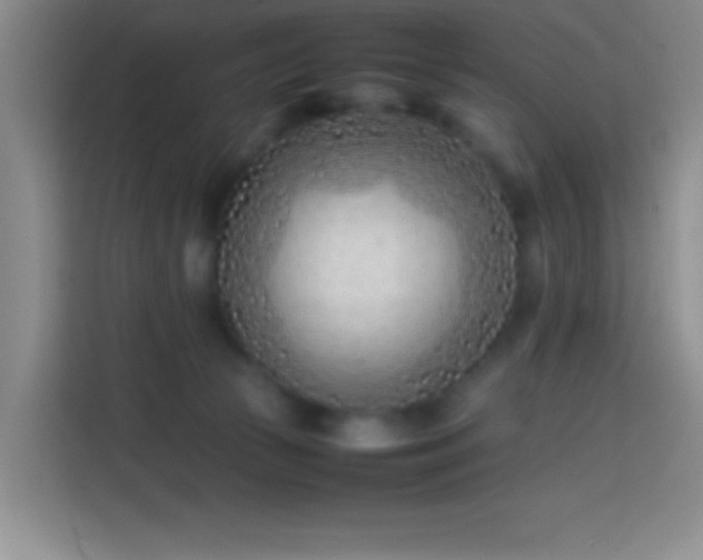 X0000113870177200910011119