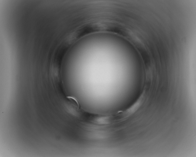 X0000113870178200910011119