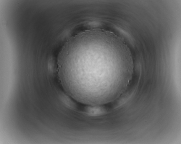 X0000113870181200910011119