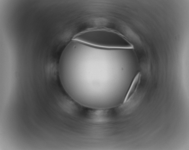 X0000113870184200910011119