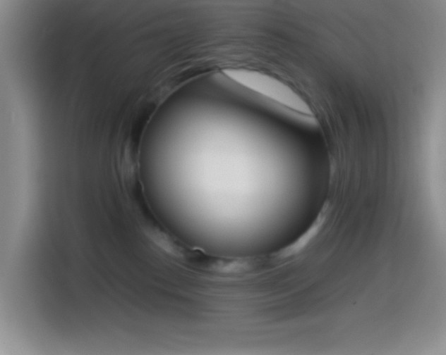 X0000113870186200910011119