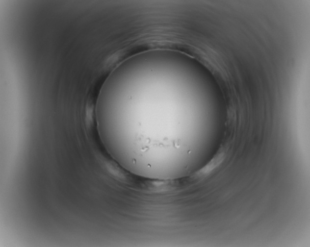 X0000113870188200910011120