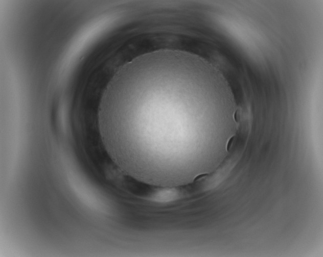 X0000113870189200910011120