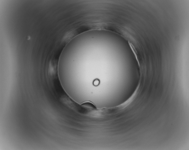 X0000113870190200910011120