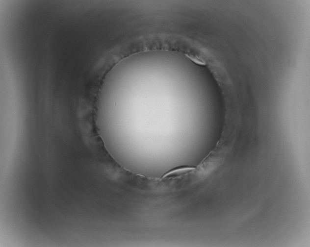 X0000113870192200910011120