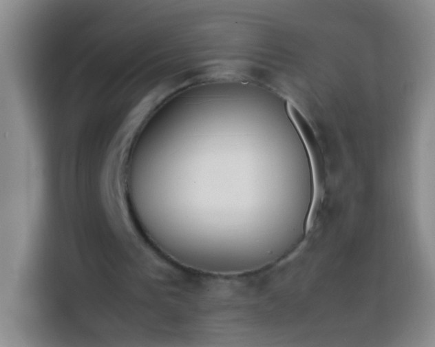 X0000113870193200910011119