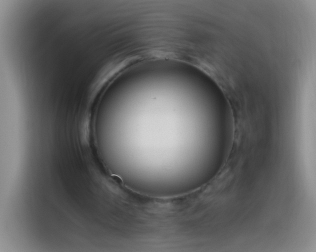 X0000113870194200910011119