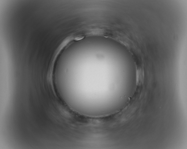 X0000113870195200910011119