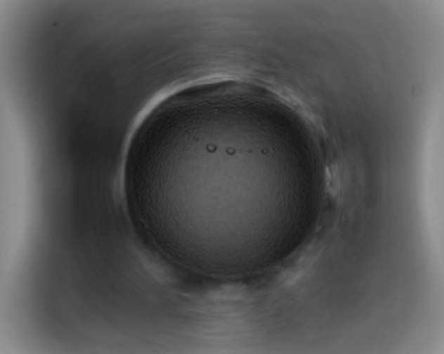 X0000113870196200910011119