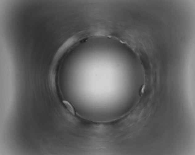 X0000113870197200910011119