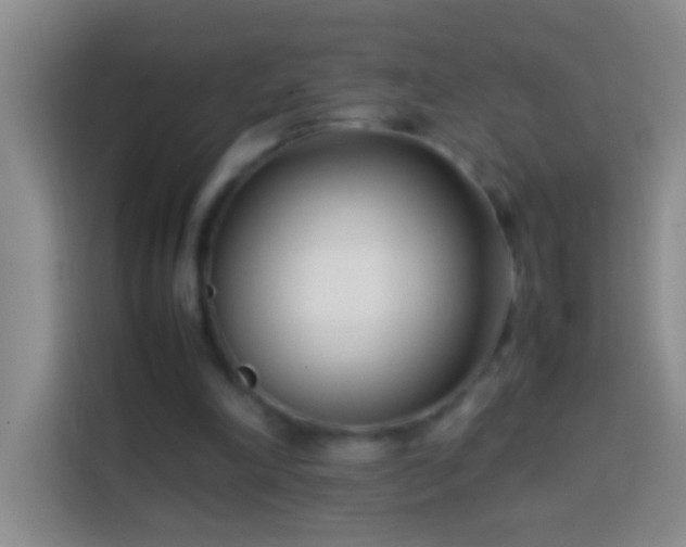 X0000113870198200910011119