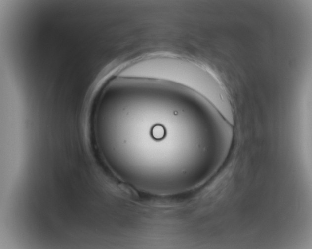 X0000113870199200910011119