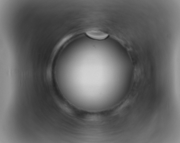 X0000113870200200910011119