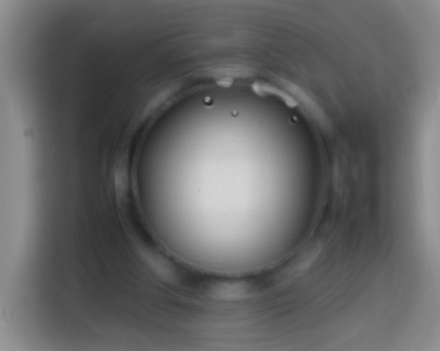 X0000113870202200910011119