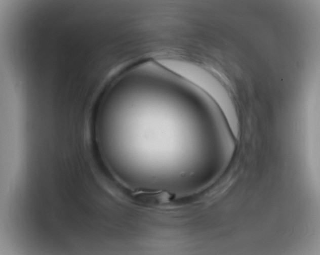 X0000113870203200910011119