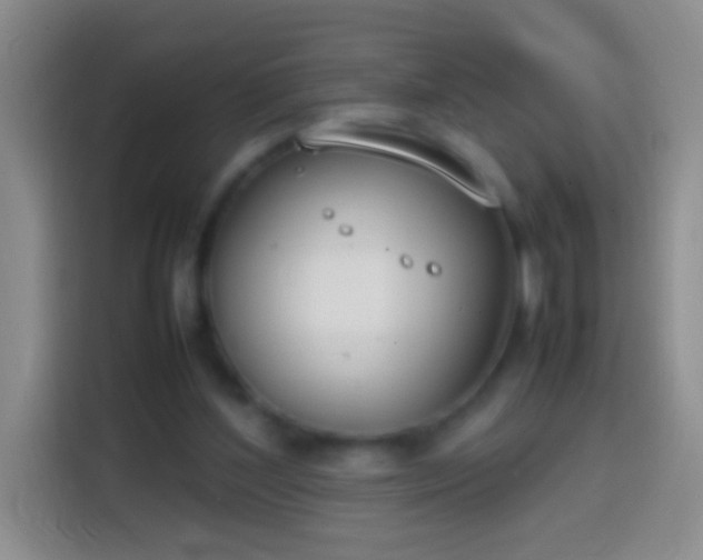 X0000113870204200910011119