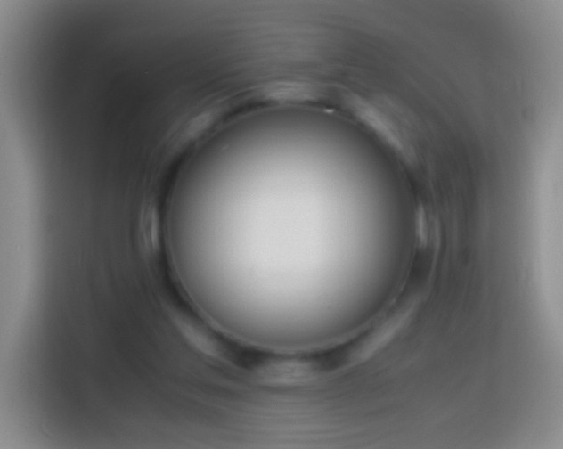 X0000113870205200910011119