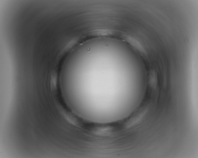 X0000113870206200910011119