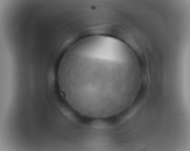 X0000113870207200910011119