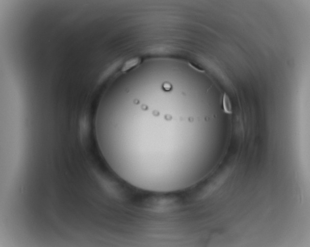 X0000113870208200910011119