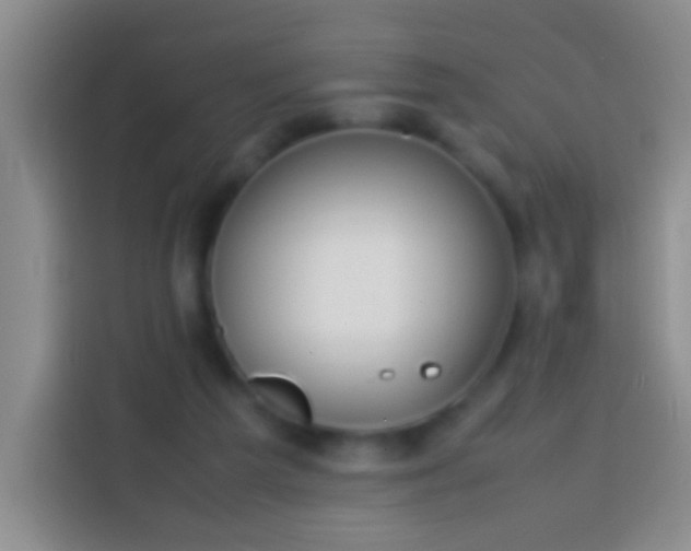 X0000113870209200910011119