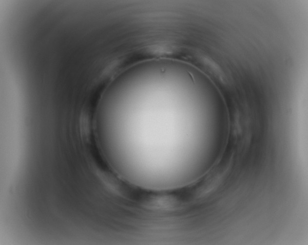 X0000113870210200910011119