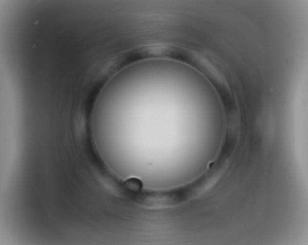 X0000113870213200910011119