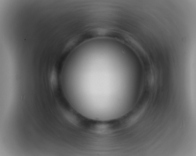 X0000113870216200910011119