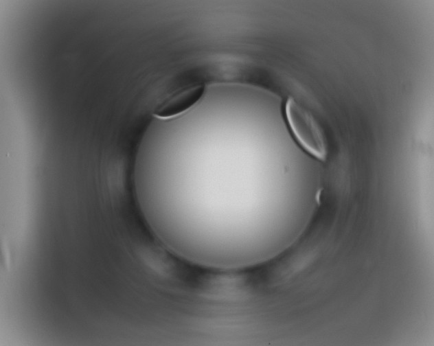 X0000113870217200910011119