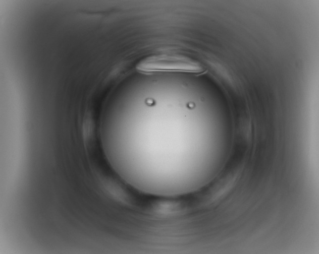 X0000113870220200910011119