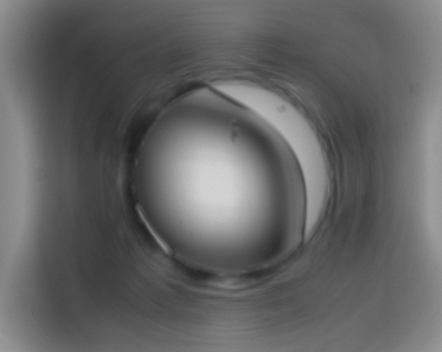 X0000113870221200910011119