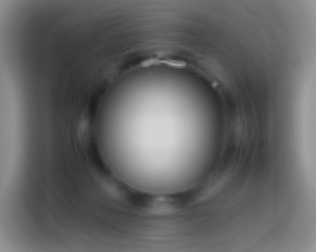 X0000113870222200910011119