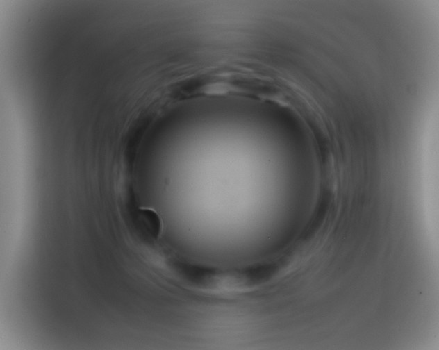 X0000113870223200910011119