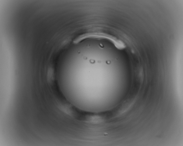 X0000113870224200910011119