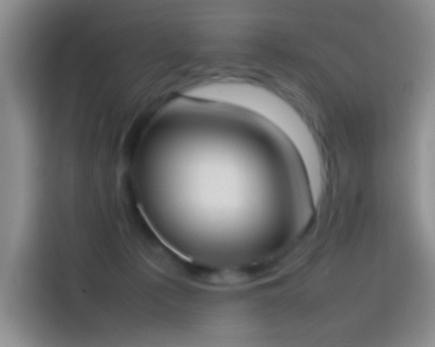 X0000113870225200910011119