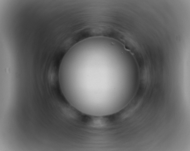 X0000113870226200910011119