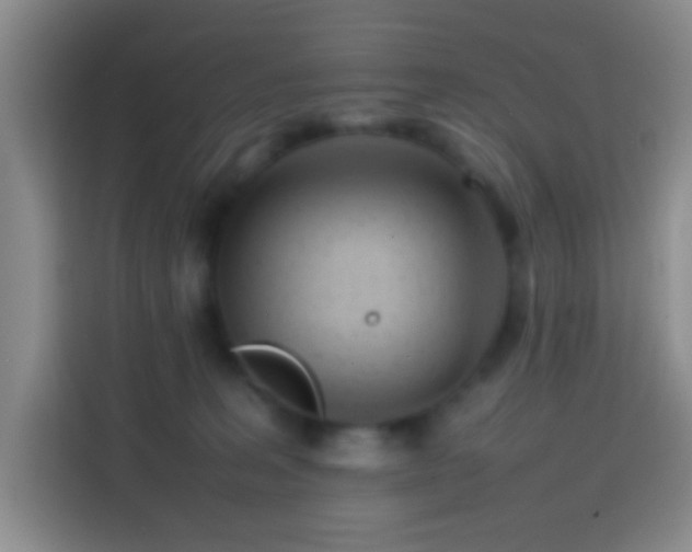 X0000113870227200910011119