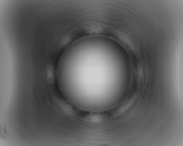 X0000113870228200910011118