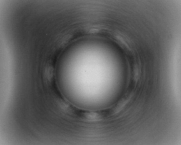 X0000113870230200910011118