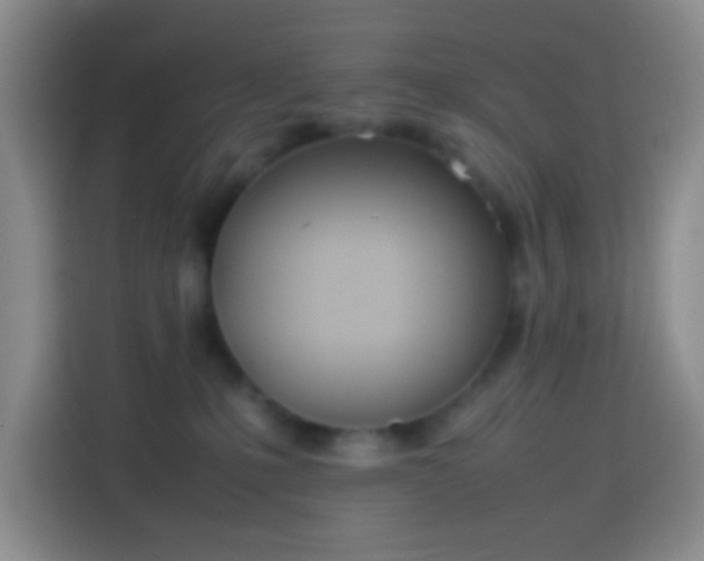 X0000113870231200910011118