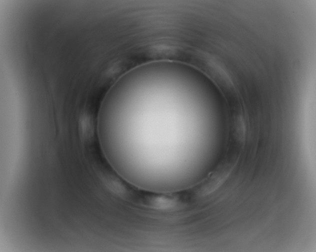 X0000113870232200910011118