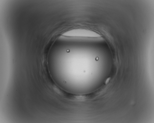 X0000113870233200910011118