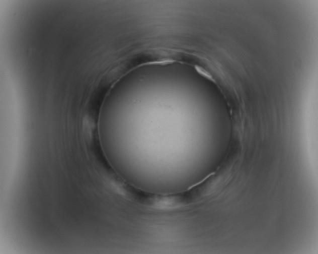 X0000113870235200910011118